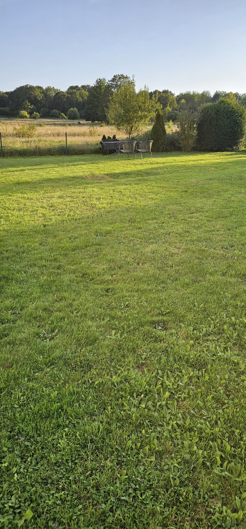 Gartennutzung erlaubt