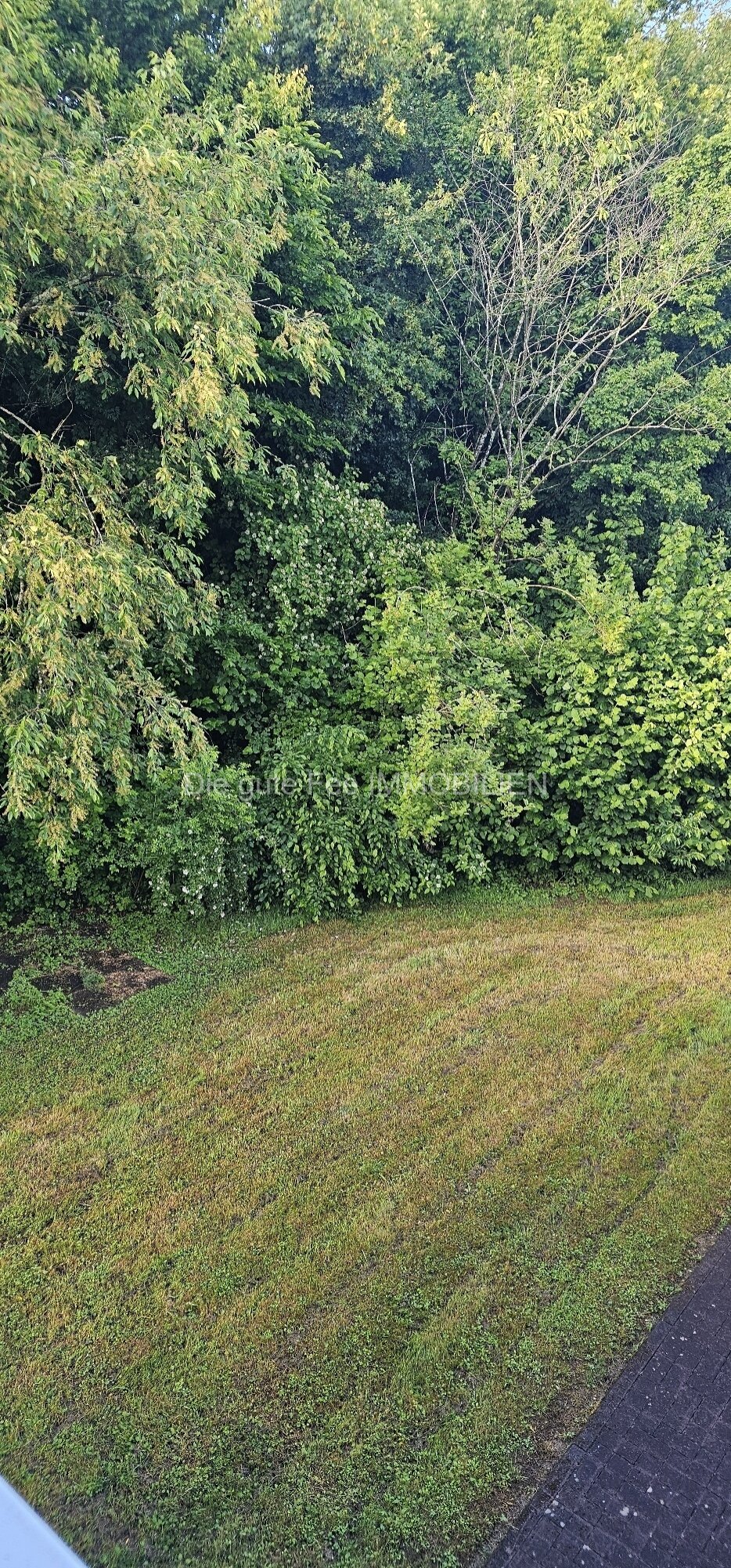 Aussicht vom Abstellraum in den Garten Aussicht vom Abstellraum in den Garten