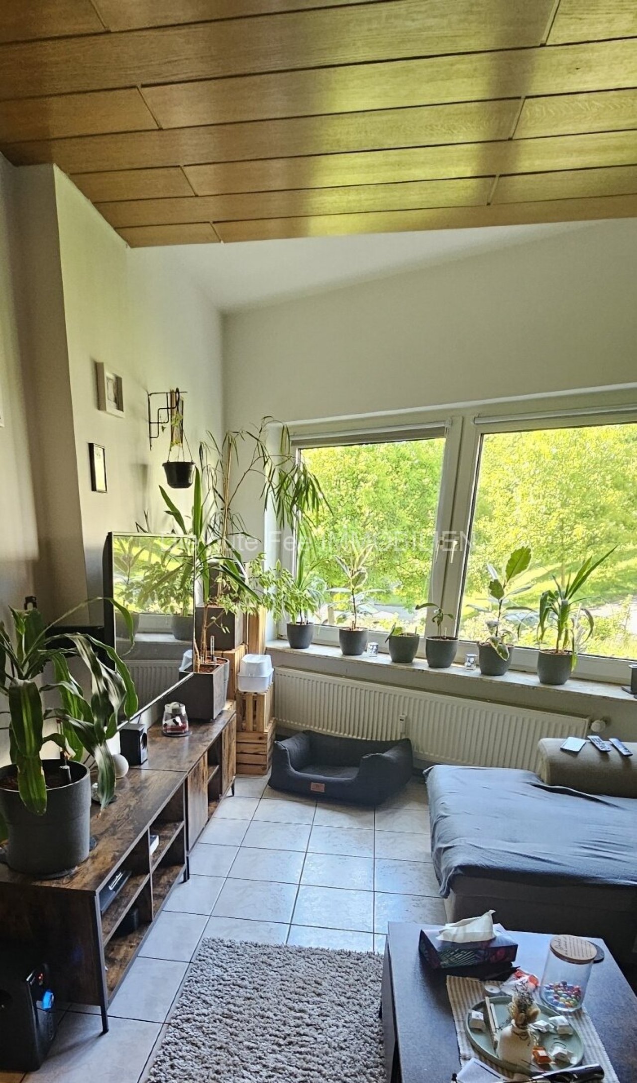 Wohnzimmer ( Ausschnitt ) Wohnzimmer ( Ausschnitt )