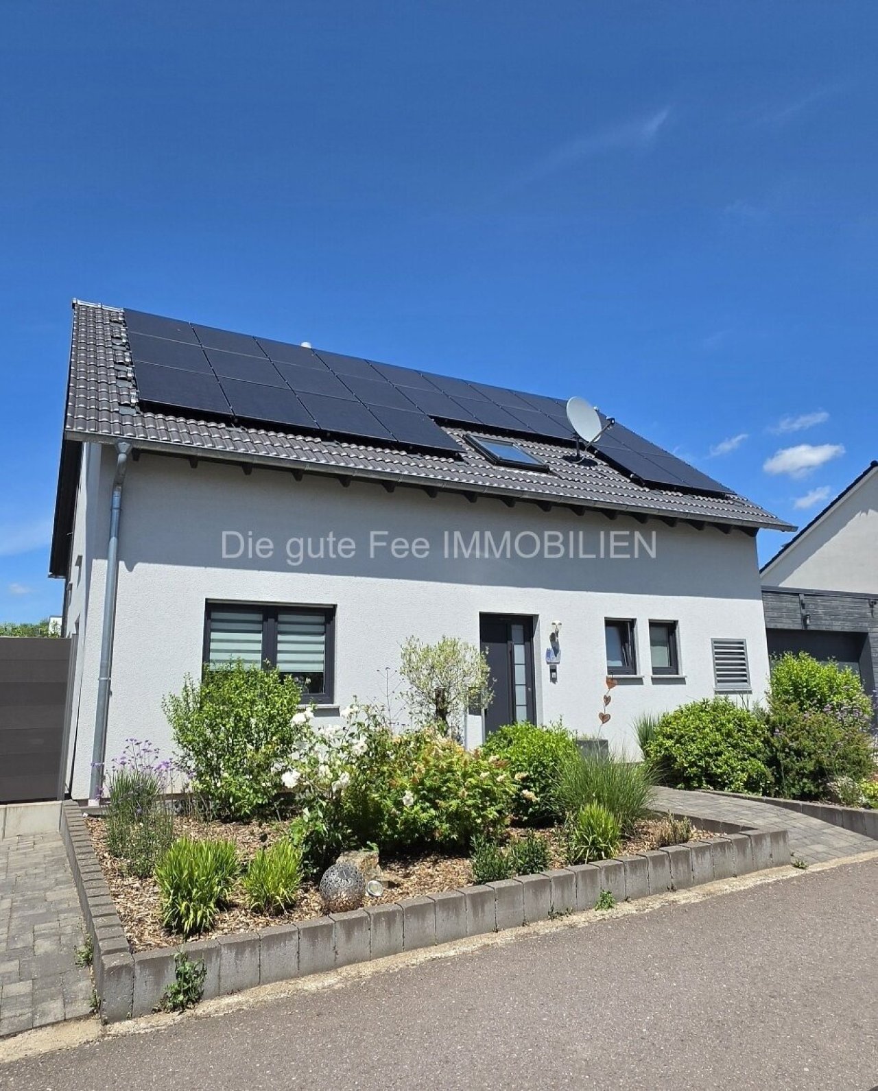 gepflegter Vorgarten gepflegter Vorgarten