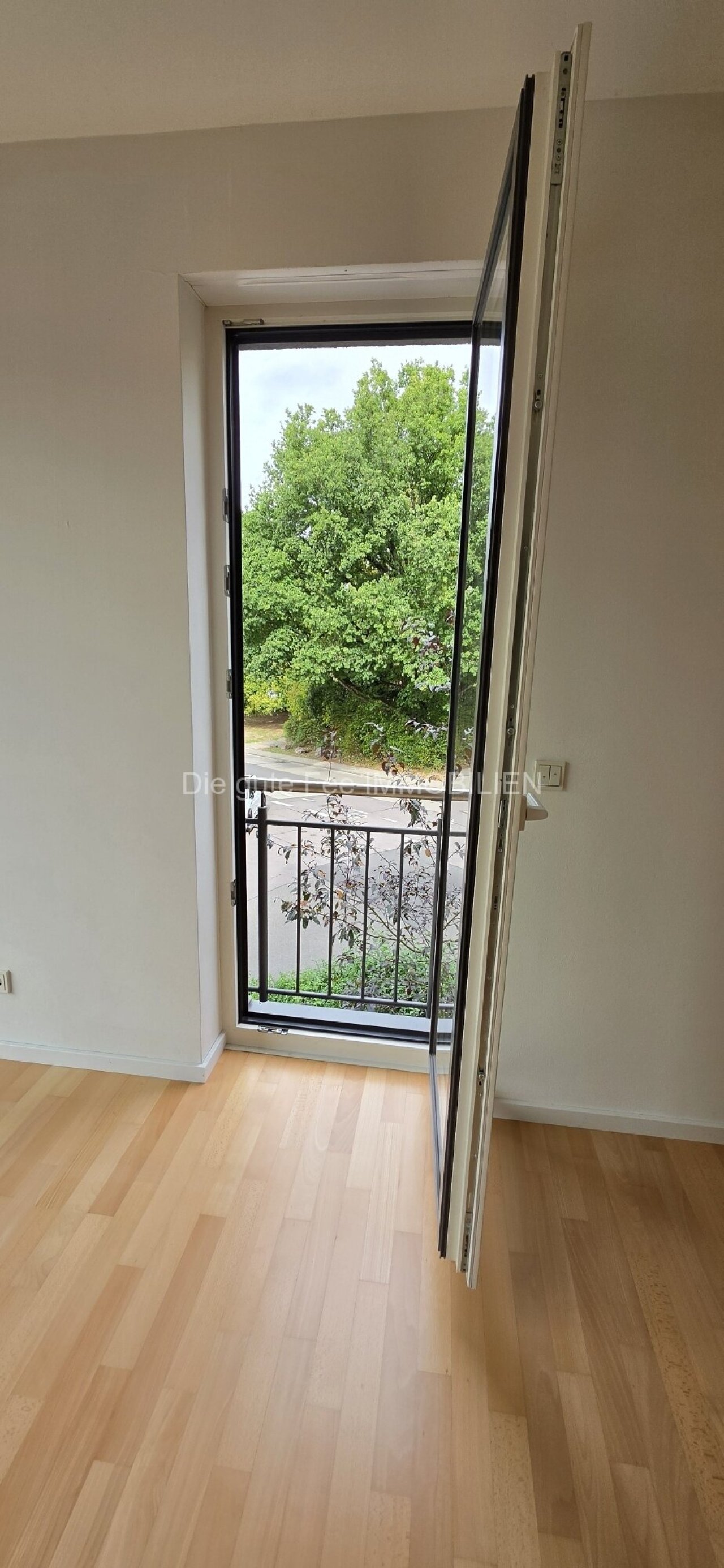 Frz. Balkon im Wohnzimmer Frz. Balkon im Wohnzimmer